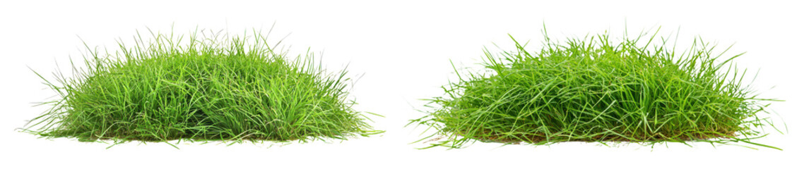 Fototapeta premium Clumps of grass adding a fresh isolate on transparent background cutout, png