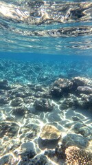 Fototapeta premium A vibrant coral reef is alive with colorful fish swimming among diverse corals, viewed from beneath the clear blue water, emphasizing the beauty of marine life and underwater ecosystems