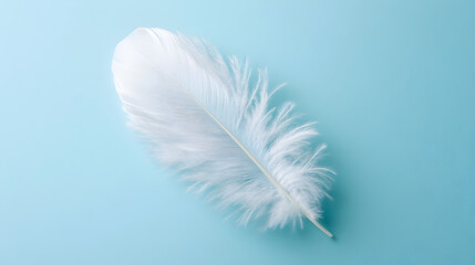 Obraz premium A fluffy white feather on a blank background