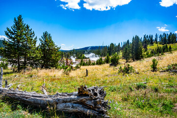Yellowstone National Park Mud Volcano and Dragon Mouth hike with geyser eruptions spewing hot scalding water and steam venting