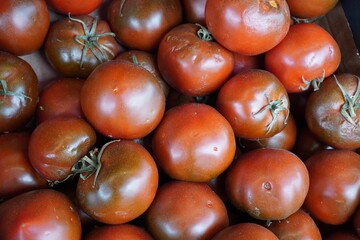 dark red tomatoes at fruit and veg market. healthy food background. 