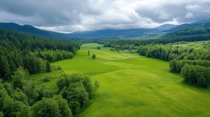 Fototapeta premium Aerial view of a lush green meadow surrounded by majestic mountains and cloudy skies, showcasing the beauty of nature.