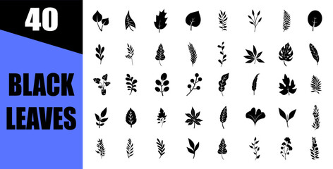 tropical black leaves set, palm leaves silhouettes isolated, green floral, environment and nature eco sign.