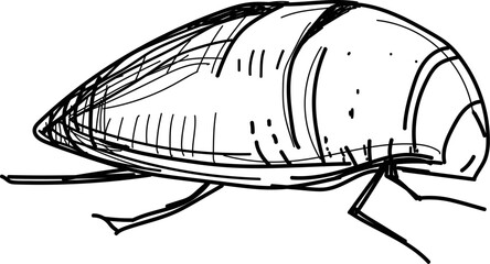 insect, insect picture, insect icon, insect about to fly, insect line art,