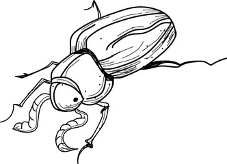 insect, insect picture, insect icon, insect about to fly, insect line art,