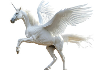 Graceful Pegasus isolated with clear white background in high definition