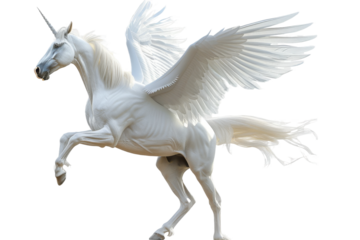 Graceful Pegasus isolated with clear white background in high definition
