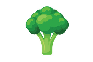 Broccoli vector illustration isolated in white background