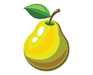 fresh organic pear fruit  vector illustration