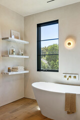 modern bathroom interior with bathtub