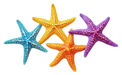 Bright and colorful starfish, cut out