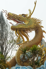 THA TON, CHIANG MAI, THAILAND - MARCH 2020: The giant dragon fountain is surrounded by rainforest....