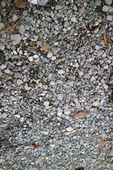 Small pebbles scattered on the road
