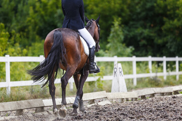 Female rider in formal attire guides a brown horse along a sandy equestrian arena on her dressage test
