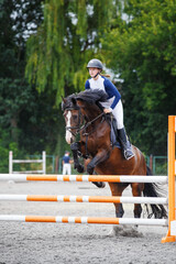 A young female rider in a blue shirt and helmet guides a bay horse over an obstacle in show jumping...