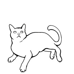 Line art laying cat black and white