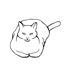 line art sitting cat black and white