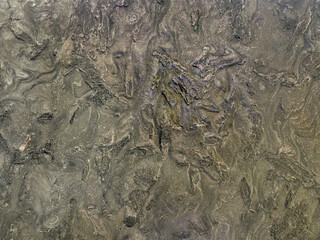Texturized washed paint in dark grey mud earth color. Cement grunge seamless texture