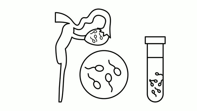 sperm motility rapid progression animation, Ovary Beaker containing Male Semen animated video, Invitro Fertilization Clip, Pregnancy and obstetrician footage,Test Tube Baby process motion graphics