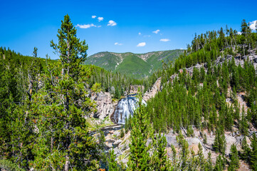 Yellowstone National Park Gibbon Waterfall Overlook in summer of 2024