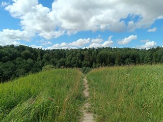 Bubiai hill during sunny day. Small hill. Grass is growing on hill. Staircase leading to the top. Sunny day with white and gray clouds in sky. Nature. Bubiu piliakalnis.