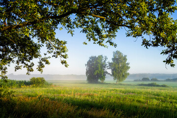 Piękne  letnie krajobrazy z Doliny Narwi, Podlasie, Polska © podlaski49