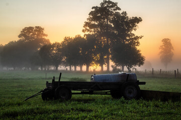Piękne  letnie krajobrazy z Doliny Narwi, Podlasie, Polska © podlaski49