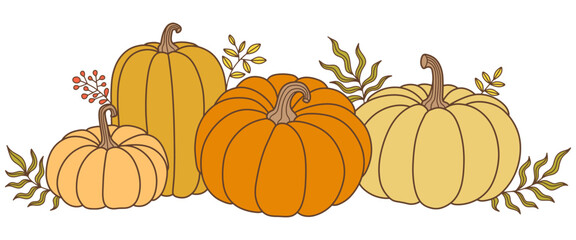 Pumpkin with leaves vector illustration