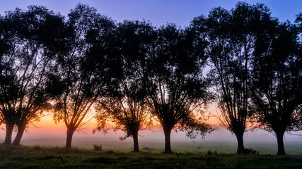 Piękne  letnie krajobrazy z Doliny Narwi, Podlasie, Polska © podlaski49