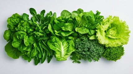 Fresh green leafy vegetables including spinach, lettuce, kale, and more, arranged on a white background in a horizontal orientation.
