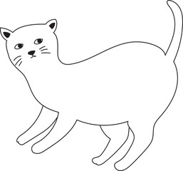 Hand drawn cat doodle illustration on transparent background.
