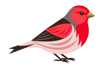 Cute redpoll bird side view vector art illustration