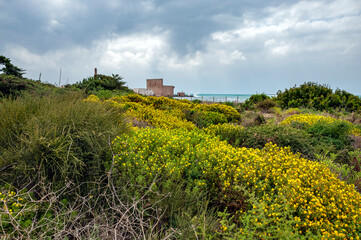 Vendicari Nature Reserve, Syracuse district, Sicily, Italy