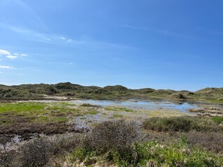 view of the coast of the sea