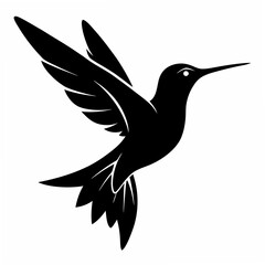 Hummingbird Black silhouette