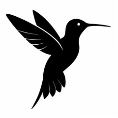 Hummingbird Black silhouette