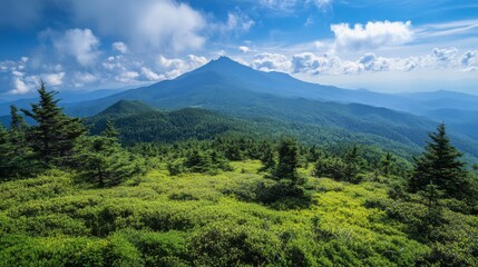 Fototapeta premium Majestic Mountain Landscape with Lush Greenery