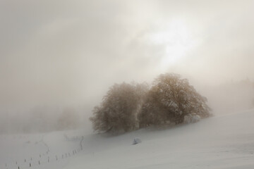 Tempête neige 