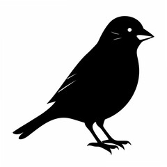 Sparrow Black silhouette