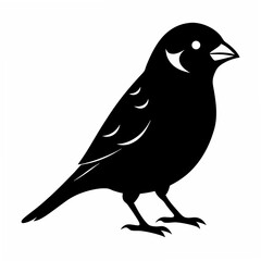 Sparrow Black silhouette
