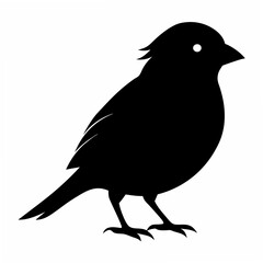Sparrow Black silhouette