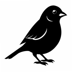 Obraz premium Sparrow Black silhouette