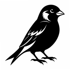 Fototapeta premium Sparrow Black silhouette