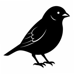 Sparrow Black silhouette