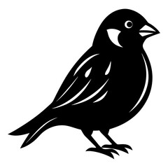 Sparrow Black silhouette