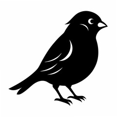 Sparrow Black silhouette