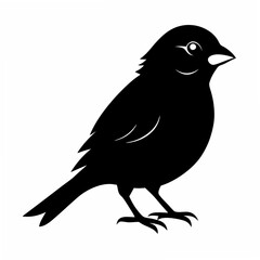 Sparrow Black silhouette