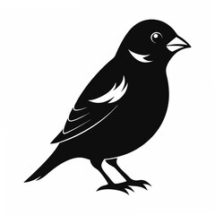 Sparrow Black silhouette