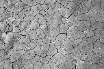 Dry cracks in soil. Earthy loam with smooth surface and countless irregular cracks that form at the...