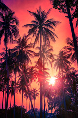 Silhouette coconut palm trees on beach at sunset. Vintage tone.